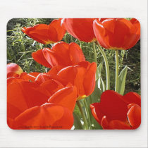 Sun kissed Tulips & Rosemary Mousepad