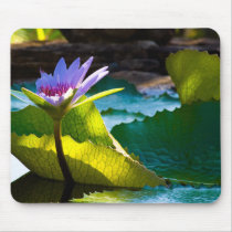 Sun Kissed Waterlily, Mousepad by ZenfulDelights Sun Kissed Waterlily, Mousepad