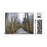Sun-kissed Winter Branches Postage Stamps