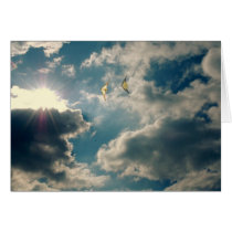 Sun Kites Cards