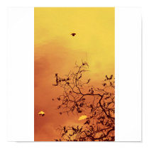 Sun lit posters by Lyllie Sun lit posters