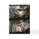 Sun Made Lace cards
