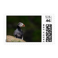 Sun on it's Back Puffin stamp