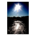 Sun Reflection posters