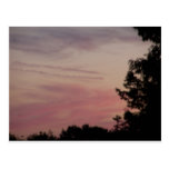 sun set post cards