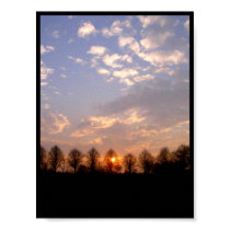 Sun Set posters