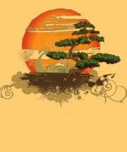 Sun set T shirt