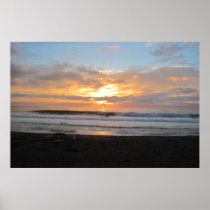 Sun Sets on Snoozing Elephant Seals Posters