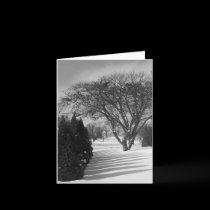 Sun Shadow Pickets Note Card