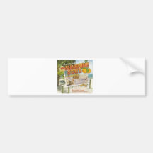 Sun Shine State Bumper Stickers
