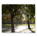 Sun Shower posters by wandringmind Sun Shower posters