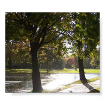 Sun Shower posters by wandringmind Sun Shower posters