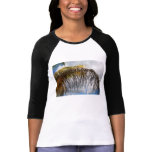 sun surround t-shirts