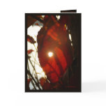 Sun Through Red Leaf Greeting Card