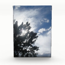 Sun Through The Clouds awards