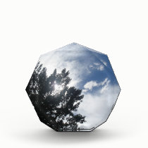 Sun Through The Clouds awards