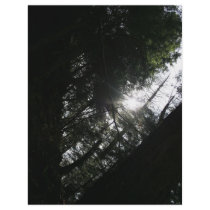 Sun Through Trees Custom Flyer