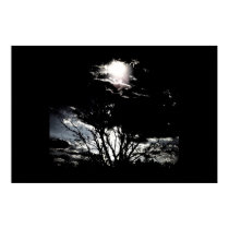 Sun thru Trees B&W posters by draemknot Sun thru Trees B&W posters