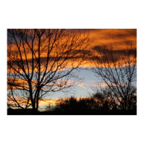 Sun Trails posters