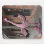 Sun Valley Flamingo