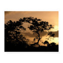 sun watcher posters by blacqbook sun watcher posters