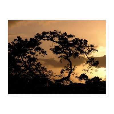sun watcher poster by blacqbook