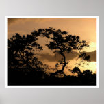 sun watcher posters