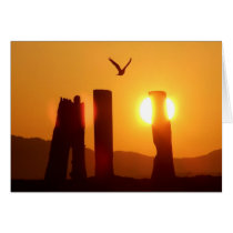 Sun Wings cards