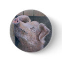 Sun Worship buttons by fhooper Sun Worship buttons