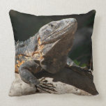 Sun-Worshipping Iguana Throw Pillows
