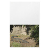 Sunbathing Alligator Customized Stationery