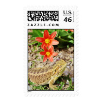 Sunbathing Bearded Dragon Postage