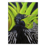 "Sunbathing" Card