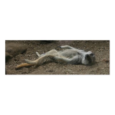 Sunbathing Meerkat Bookmark Business Card by angeleyes_9136