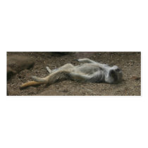 Sunbathing Meerkat Bookmark business cards by angeleyes_9136 Sunbathing Meerkat Bookmark business cards