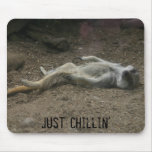 Sunbathing Meerkat Mousepad