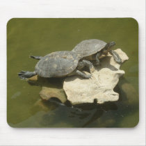 Sunbathing turtles mousepads