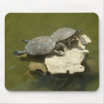 Sunbathing turtles mouse pads