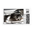Sunbeam Gabe Spay * Neuter * Adopt postage by RozSmith Sunbeam Gabe Spay * Neuter * Adopt postage
