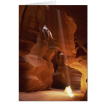 Sunbeam hitting tumbleweed on canyon floor greeting cards