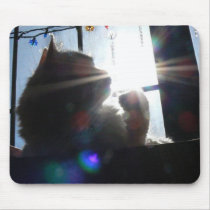 Sunburst Cat mousepads