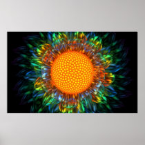 daisy, sunburst, render, solar, flare, Plakat med brugerdefineret grafisk design