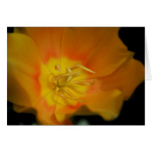 Sunburst Greeting Card