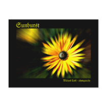 Sunburst postcards