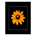 Sunburst posters