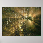 Sunburst posters