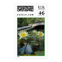 Sunburst Water Lilies, www.buumon.org postage