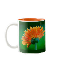 Sunburst Zinnia Mug by Lois Bryan