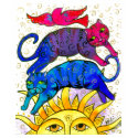Sundance t-shirts by BeMusedArt Sundance t-shirts