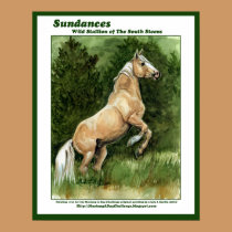 Sundances Wild Stallion of the South Steens posters